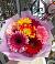 Букет цветов из: Герберы в Марьинской