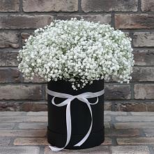 Цветочная композиция из Гипсофила в шляпной коробке в Марьинской