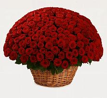 Премиум букет из: Розы #REPLACE_PRED# Марьинской